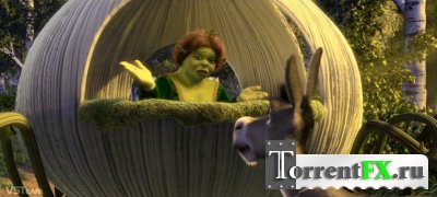  -   / Shrek - Honeymoon