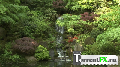 :   / Living Landscapes: Zen Garden