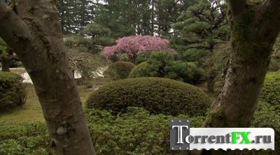  :   / Living Landscapes: Zen Garden