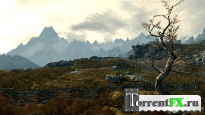The Elder Scrolls V: Skyrim [Update 1] (1-) (RUS) [RePack]