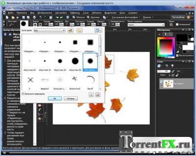 Corel PaintShop Photo Pro X3   - 