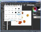 Corel PaintShop Photo Pro X3   -  (2011) PC