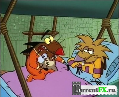   / The Angry Beavers (1997-2001)