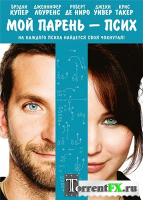   -  / Silver Linings Playbook (2012) DVDScr