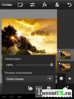 Adobe Photoshop Touch for Phone 1.0.0 (2013) Android