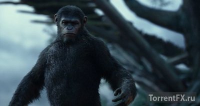 Планета обезьян: Революция (2014) WEB-DLRip | Звук с TS