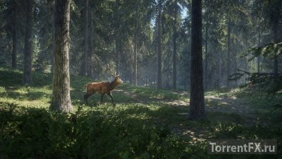 TheHunter: Call of the Wild [v 1.9.1 + DLCs] (2017) RePack от xatab