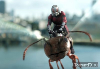 Человек-муравей и Оса (2018) HDRip-AVC от OlLanDGroup