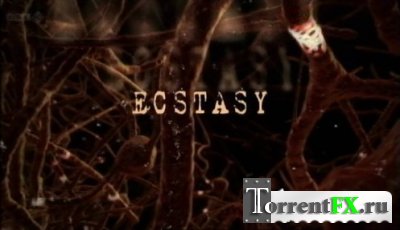 :   .  / How drugs work Ecstasy