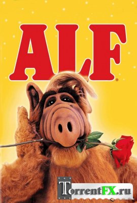  ( 01-98  102) / Alf