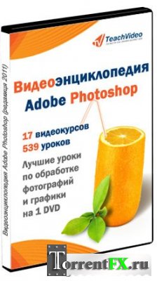   -  Adobe Photoshop