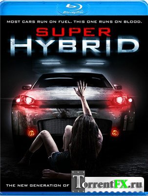  / Hybrid (2010) HDRip | 