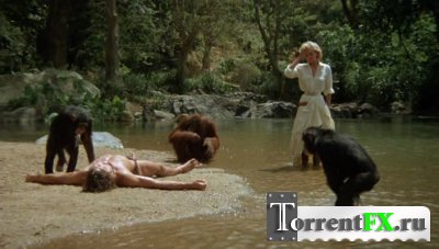 , - / Tarzan, the Ape Man (1981) DVDRip