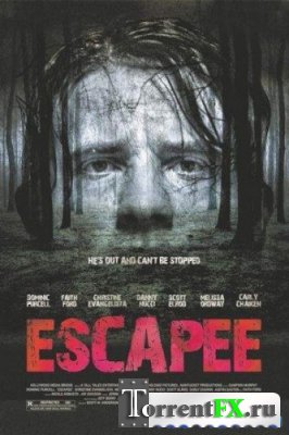  / Escapee (2011) DVDRip
