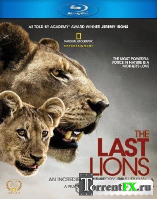   / The Last Lions (2011)