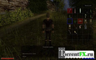 Gothic 2: Gold [v.2.6] (2004) PC