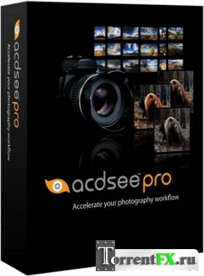 ACDSee Pro 7.0 Build 137 Final (2013) PC