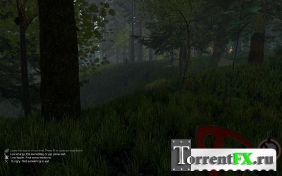  / The Forest [0.02] (2014) PC