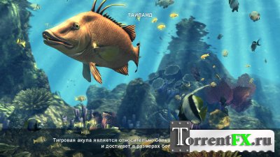 Depth Hunter 2: Deep Dive (2014) PC | RePack