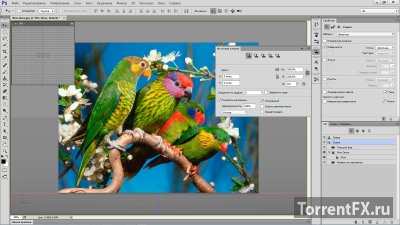 Adobe Photoshop CC 2014.2.1 (2014) PC | RePack