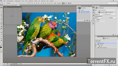 Adobe Photoshop CC 2014.2.1 (2014) PC | RePack