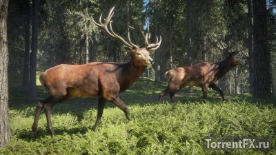 TheHunter: Call of the Wild [Update 1] (2017) RePack  xatab